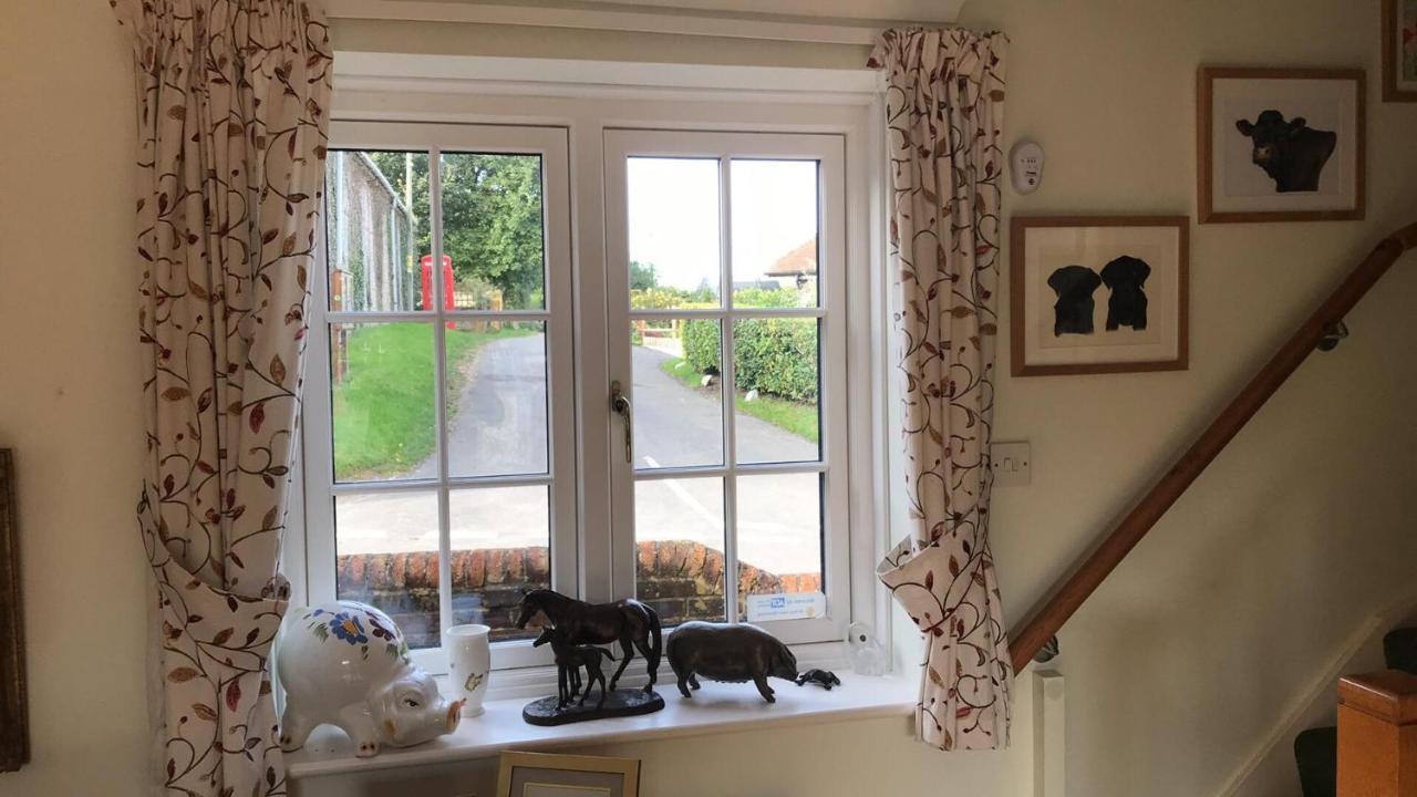 Lane End Cottage Ovington  Exteriér fotografie